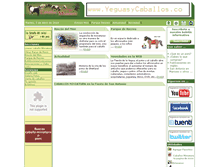 Tablet Screenshot of caballosminiatura.com